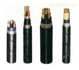 BPYJVP变频器电缆-电力电缆